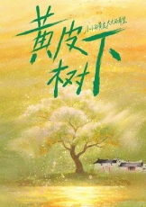 黄皮树下