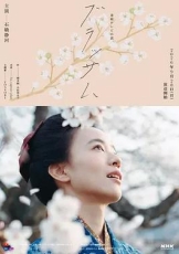 花朵盛开