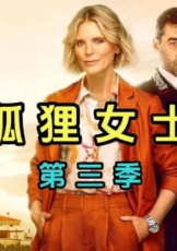 狐狸女士 第三季