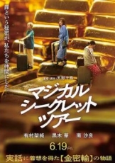 奇幻秘密之旅