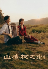 山楂树之恋