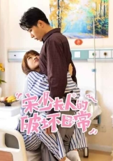 宋少夫人的破坏日常