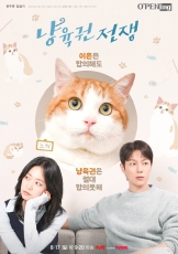 猫养权战争