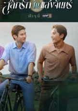 月光挚情