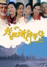 我在迪拜等你