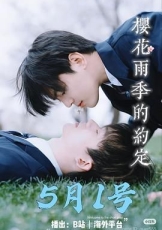 樱花雨季的约定