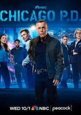芝加哥警署 第十三季