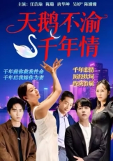 天鹅不渝千年情