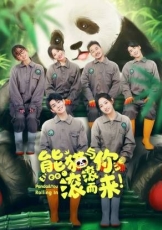 熊猫与你，滚滚而来！