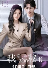 我亲爱的秘书 (2025)