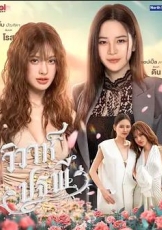 四大元素之大地情缘