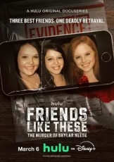 像他们这样的朋友 斯凯拉·尼斯的谋杀案