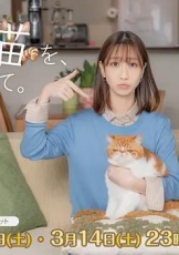 我收留了前男友的猫