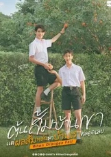 当橘子掉落时