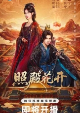 照殿花开