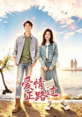 爱情正路过