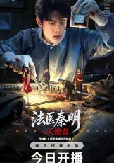 法医秦明之天谴者